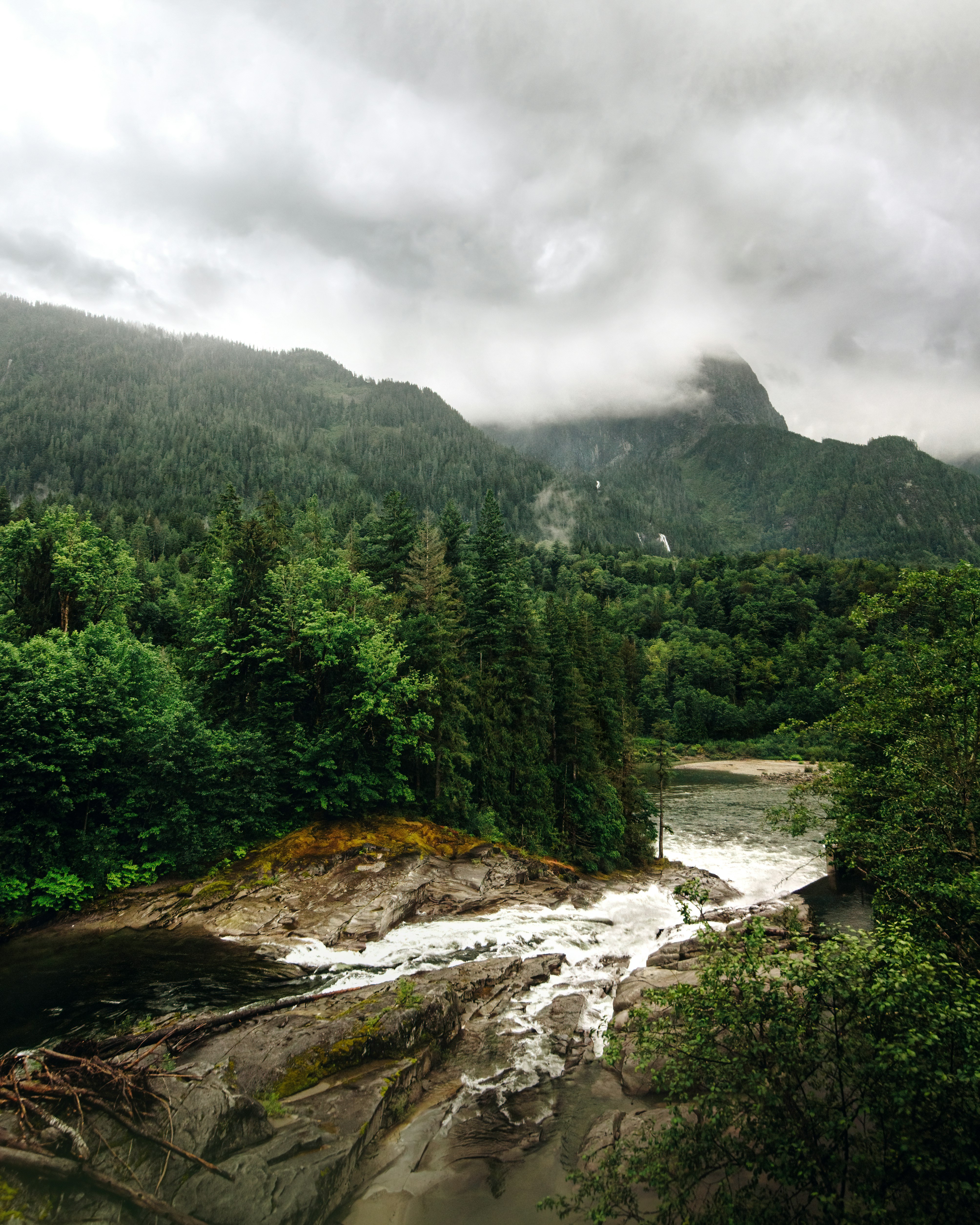 green trees near river under cloudy sky during daytime